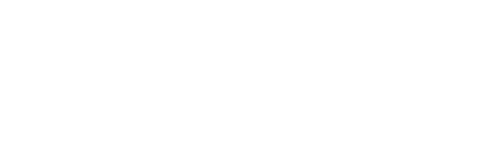 Palmetto Capital Logo